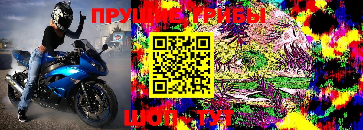 Соликамск  Галлюциногенные грибы Psilocybine cubensis  Вход с VPN  Галлюциногенные грибы Psilocybe 