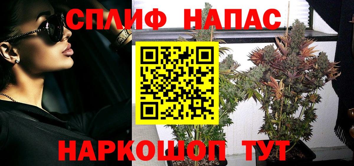 Бошки марихуана план Соликамск